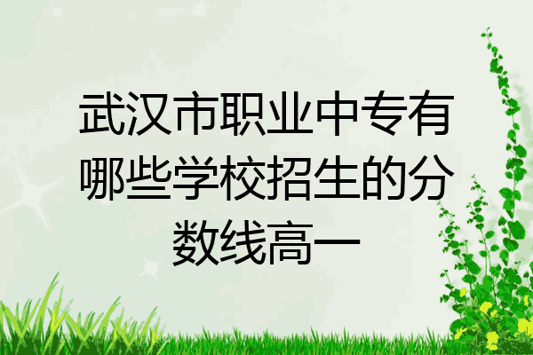 武汉市职业中专有哪些学校招生的分数线高一