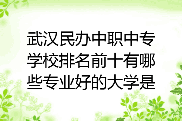 武汉民办中职中专学校排名前十有哪些专业好的大学是