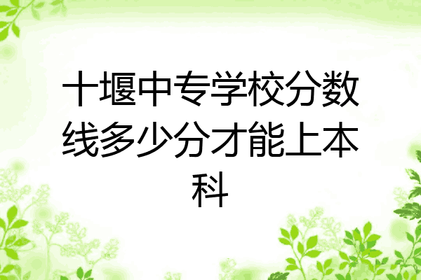 十堰中专学校分数线多少分才能上本科