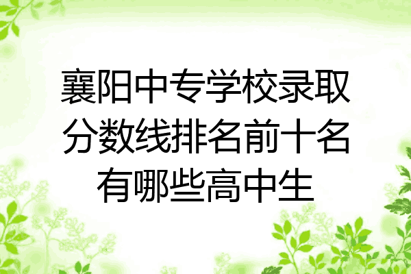 襄阳中专学校录取分数线排名前十名有哪些高中生