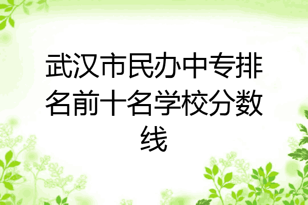 武汉市民办中专排名前十名学校分数线