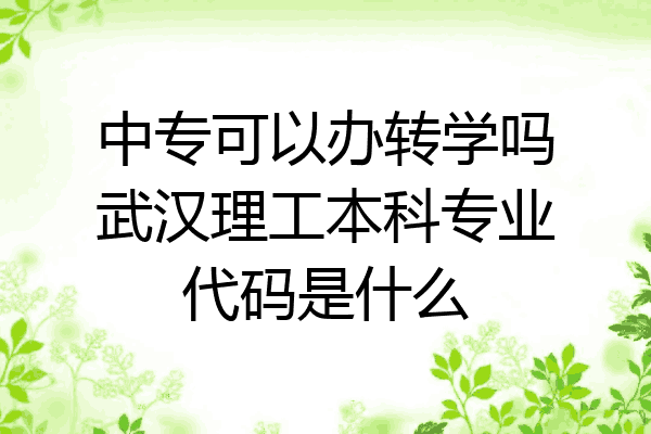 中专可以办转学吗武汉理工本科专业代码是什么