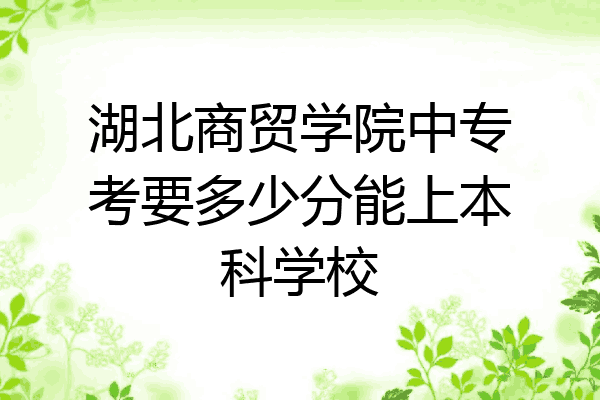 湖北商贸学院中专考要多少分能上本科学校