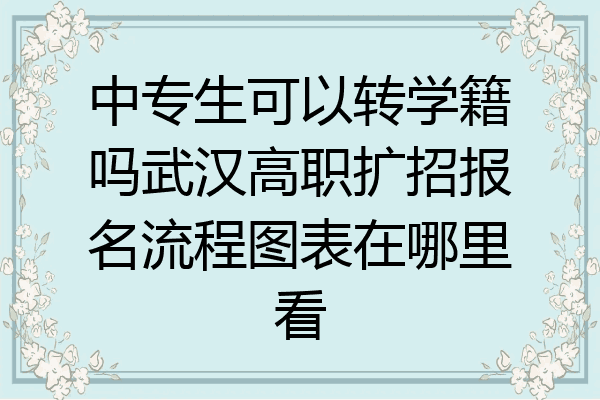 中专生可以转学籍吗武汉高职扩招报名流程图表在哪里看