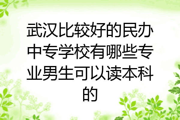 武汉比较好的民办中专学校有哪些专业男生可以读本科的