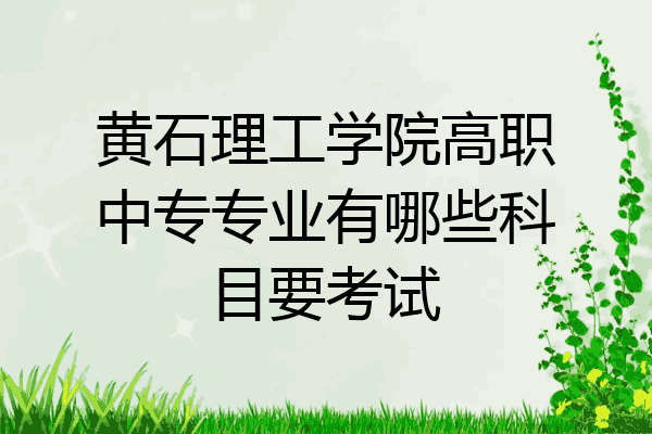 黄石理工学院高职中专专业有哪些科目要考试