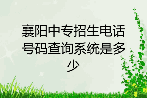 襄阳中专招生电话号码查询系统是多少