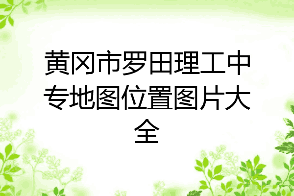 黄冈市罗田理工中专地图位置图片大全