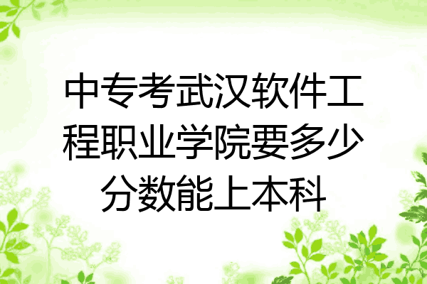 中专考武汉软件工程职业学院要多少分数能上本科