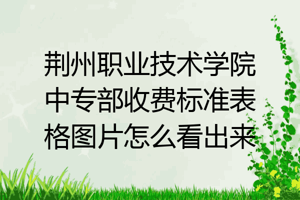 荆州职业技术学院中专部收费标准表格图片怎么看出来