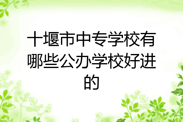 十堰市中专学校有哪些公办学校好进的
