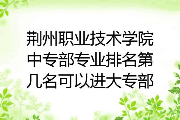荆州职业技术学院中专部专业排名第几名可以进大专部