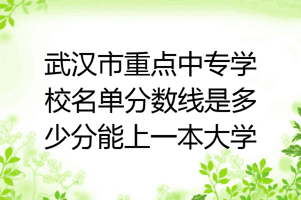 武汉市重点中专学校名单分数线是多少分能上一本大学