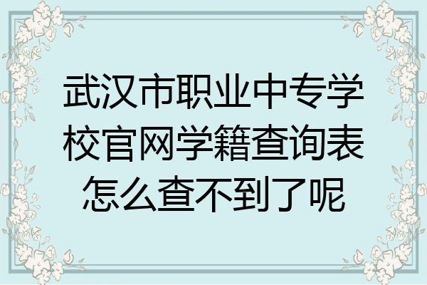 武汉市职业中专学校官网学籍查询表怎么查不到了呢