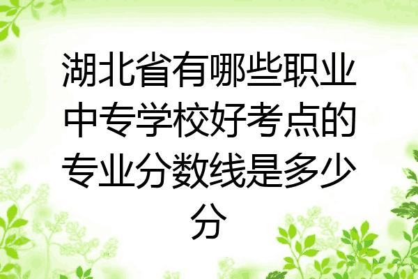 湖北省有哪些职业中专学校好考点的专业分数线是多少分
