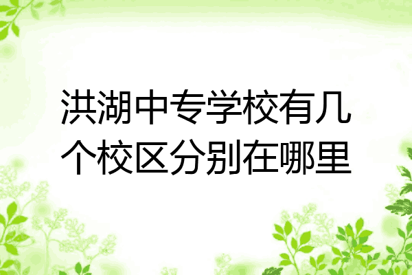 洪湖中专学校有几个校区分别在哪里