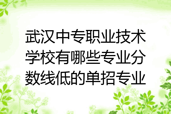 武汉中专职业技术学校有哪些专业分数线低的单招专业
