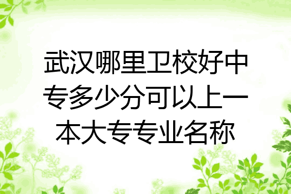 武汉哪里卫校好中专多少分可以上一本大专专业名称