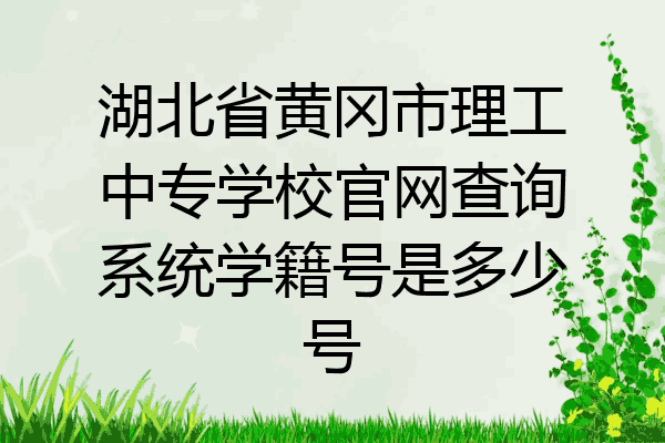 湖北省黄冈市理工中专学校官网查询系统学籍号是多少号