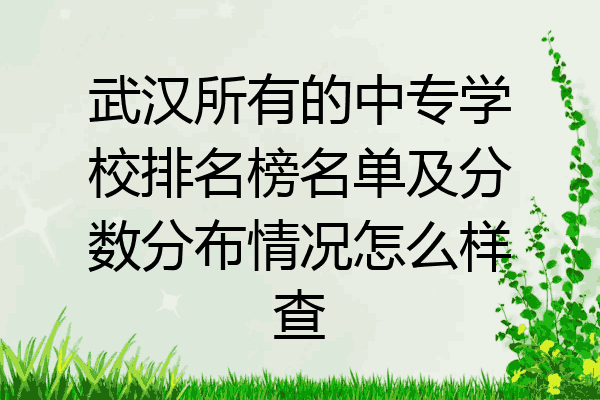 武汉所有的中专学校排名榜名单及分数分布情况怎么样查