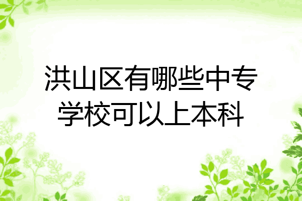 洪山区有哪些中专学校可以上本科