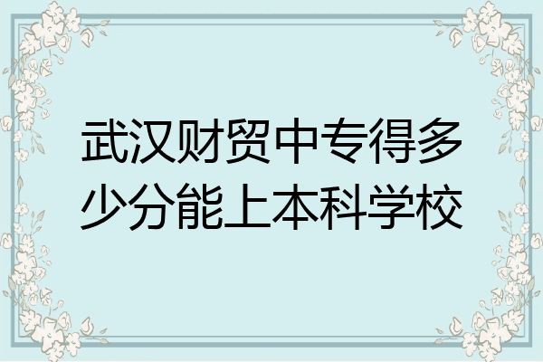 武汉财贸中专得多少分能上本科学校