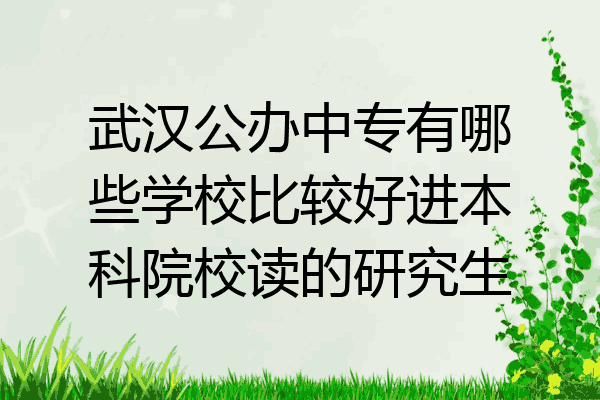 武汉公办中专有哪些学校比较好进本科院校读的研究生