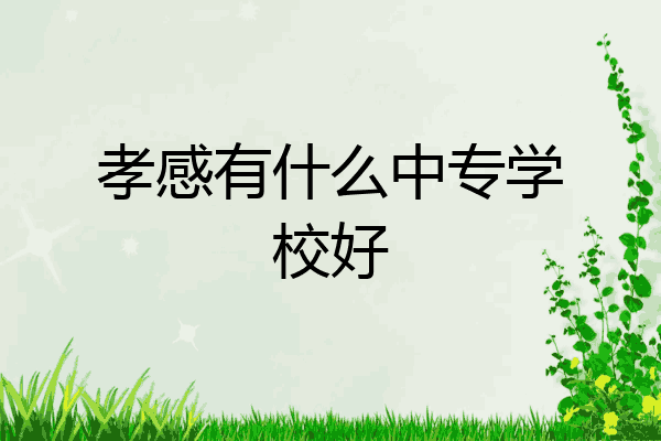 孝感有什么中专学校好