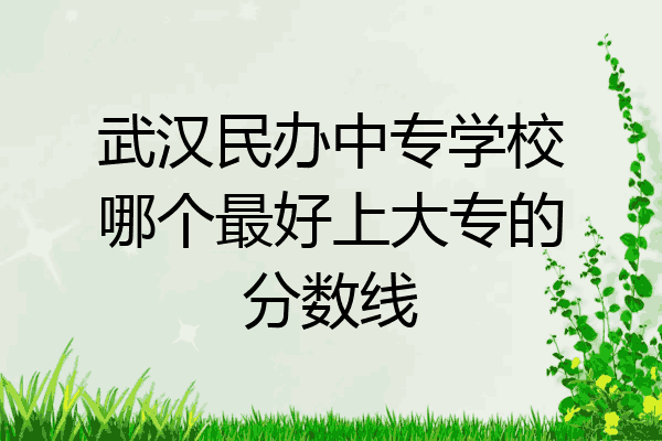 武汉民办中专学校哪个最好上大专的分数线