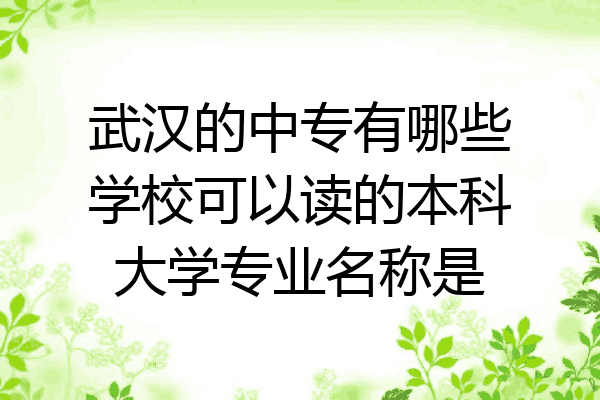 武汉的中专有哪些学校可以读的本科大学专业名称是