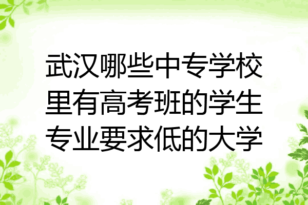 武汉哪些中专学校里有高考班的学生专业要求低的大学