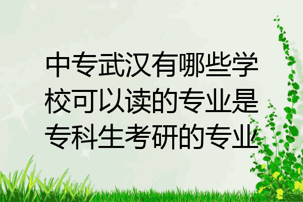 中专武汉有哪些学校可以读的专业是专科生考研的专业