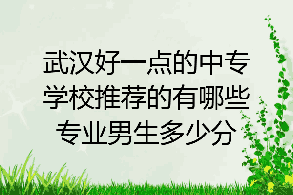 武汉好一点的中专学校推荐的有哪些专业男生多少分