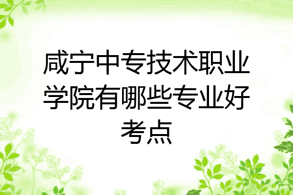 咸宁中专技术职业学院有哪些专业好考点