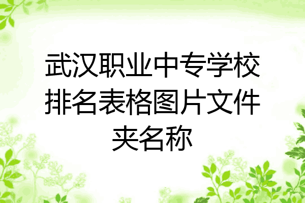 武汉职业中专学校排名表格图片文件夹名称