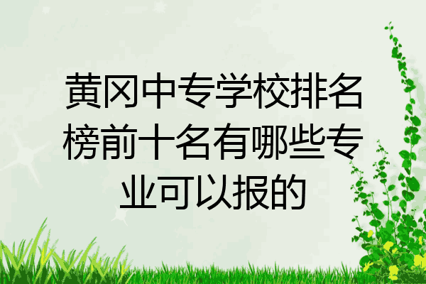 黄冈中专学校排名榜前十名有哪些专业可以报的
