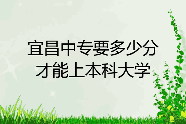 宜昌中专要多少分才能上本科大学
