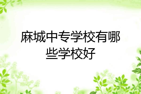 麻城中专学校有哪些学校好