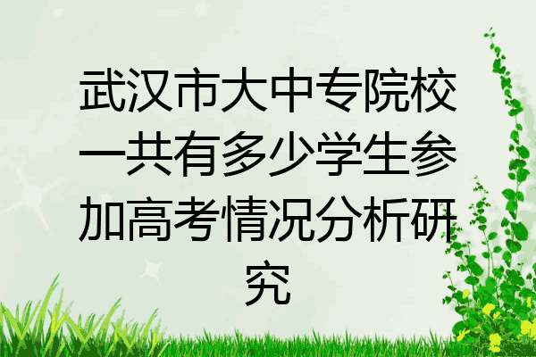 武汉市大中专院校一共有多少学生参加高考情况分析研究