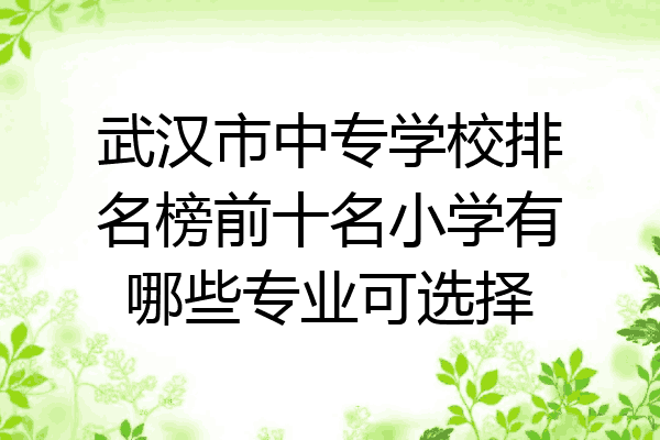 武汉市中专学校排名榜前十名小学有哪些专业可选择