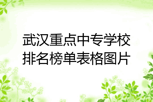 武汉重点中专学校排名榜单表格图片