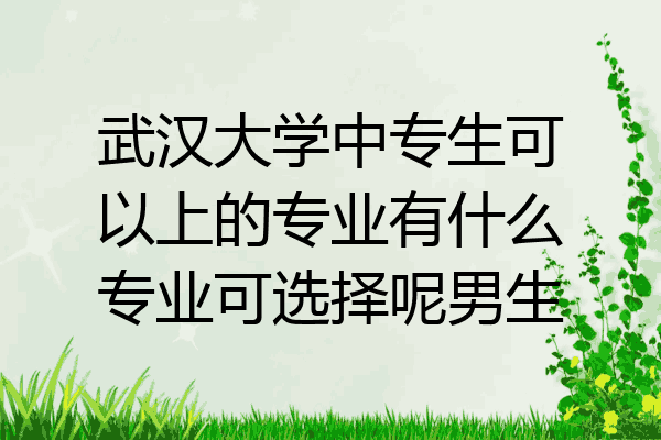 武汉大学中专生可以上的专业有什么专业可选择呢男生