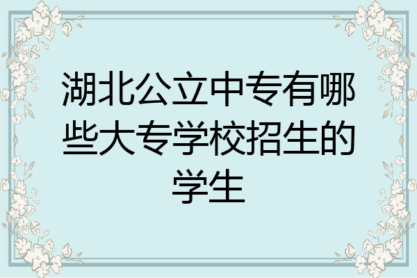 湖北公立中专有哪些大专学校招生的学生