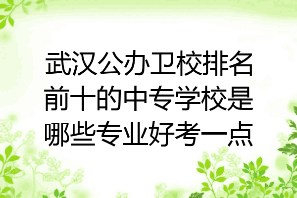 武汉公办卫校排名前十的中专学校是哪些专业好考一点