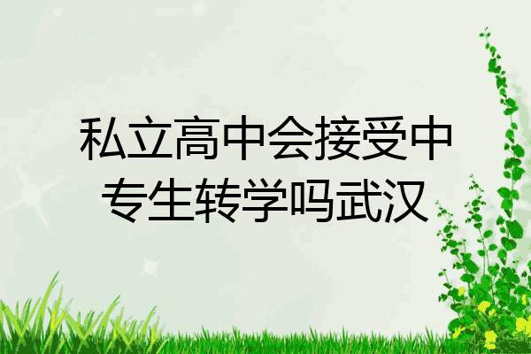 私立高中会接受中专生转学吗武汉