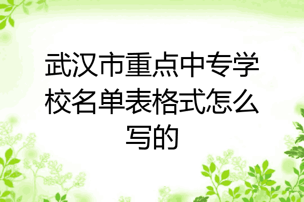武汉市重点中专学校名单表格式怎么写的