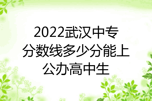 2022武汉中专分数线多少分能上公办高中生