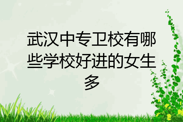 武汉中专卫校有哪些学校好进的女生多