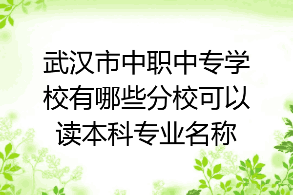 武汉市中职中专学校有哪些分校可以读本科专业名称