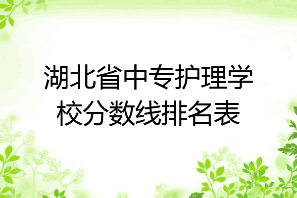 湖北省中专护理学校分数线排名表